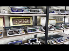 WALL-E plataforma de escala de suelo de acero inoxidable escala de suelo de pesas de camiones